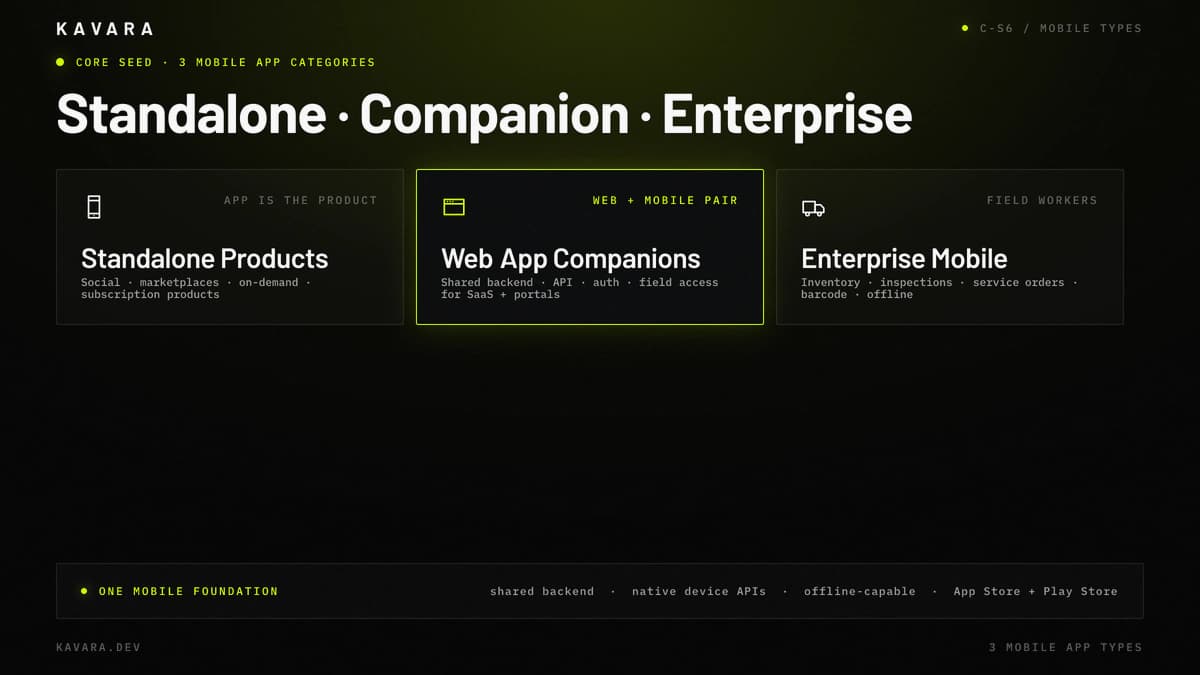 Standalone products, web app companions, and enterprise mobile categories